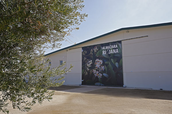 Almazara Riojana